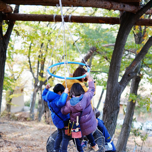 트리하우스